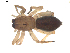  ( - BIOUG00627-H11)  @13 [ ] CC-0  G. Blagoev 2010 Unspecified
