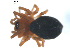  ( - BIOUG00628-D08)  @12 [ ] CC-0  G. Blagoev 2010 Unspecified