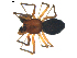  ( - BIOUG00628-G06)  @13 [ ] CC-0  G. Blagoev 2010 Unspecified