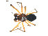  ( - BIOUG00628-G07)  @13 [ ] CC-0  G. Blagoev 2010 Unspecified