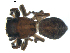  ( - BIOUG00628-H08)  @12 [ ] CC-0  G. Blagoev 2010 Unspecified