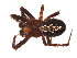  ( - BIOUG00629-A02)  @13 [ ] CC-0  G. Blagoev 2010 Unspecified