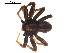  ( - BIOUG00629-G12)  @12 [ ] CC-0  G. Blagoev 2010 Unspecified