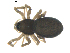  ( - BIOUG00630-A03)  @12 [ ] CC-0  G. Blagoev 2010 Unspecified