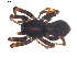  ( - BIOUG00630-D12)  @13 [ ] CC-0  G. Blagoev 2010 Unspecified
