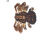  ( - BIOUG00630-E11)  @12 [ ] CC-0  G. Blagoev 2010 Unspecified