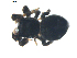  ( - BIOUG00630-F05)  @12 [ ] CC-0  G. Blagoev 2010 Unspecified