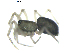  ( - BIOUG00630-H07)  @12 [ ] CC-0  G. Blagoev 2010 Unspecified