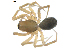  ( - BIOUG00632-A02)  @12 [ ] CC-0  G. Blagoev 2010 Unspecified
