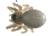  ( - BIOUG00632-A09)  @12 [ ] CC-0  G. Blagoev 2010 Unspecified