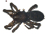  ( - BIOUG00632-B01)  @13 [ ] CC-0  G. Blagoev 2010 Unspecified