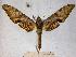  ( - BC-EMEM0274)  @14 [ ] Copyright (2010) Unspecified Research Collection of Ulf Eitschberger