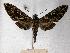  ( - BC-EMEM0297)  @14 [ ] Copyright (2010) Unspecified Research Collection of Ulf Eitschberger