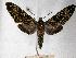 ( - BC-EMEM0304)  @14 [ ] Copyright (2010) Unspecified Research Collection of Ulf Eitschberger