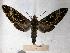  ( - BC-EMEM0309)  @14 [ ] Copyright (2010) Unspecified Research Collection of Ulf Eitschberger