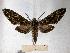  ( - BC-EMEM0312)  @14 [ ] Copyright (2010) Unspecified Research Collection of Ulf Eitschberger