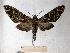  ( - BC-EMEM0317)  @14 [ ] Copyright (2010) Unspecified Research Collection of Ulf Eitschberger