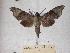  ( - BC-EMEM0047)  @14 [ ] Copyright (2010) Unspecified Research Collection of Ulf Eitschberger