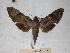  ( - BC-EMEM0054)  @12 [ ] Copyright (2010) Unspecified Research Collection of Ulf Eitschberger