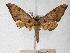  ( - BC-EMEM0577)  @13 [ ] Copyright (2010) Unspecified Research Collection of Ulf Eitschberger