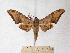  ( - BC-EMEM0584)  @13 [ ] Copyright (2010) Unspecified Research Collection of Ulf Eitschberger