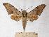  ( - BC-EMEM0585)  @14 [ ] Copyright (2010) Unspecified Research Collection of Ulf Eitschberger