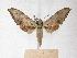  ( - BC-EMEM0591)  @13 [ ] Copyright (2010) Unspecified Research Collection of Ulf Eitschberger