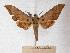  ( - BC-EMEM0592)  @13 [ ] Copyright (2010) Unspecified Research Collection of Ulf Eitschberger