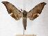  ( - BC-EMEM0598)  @14 [ ] Copyright (2010) Unspecified Research Collection of Ulf Eitschberger