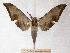  ( - BC-EMEM0600)  @14 [ ] Copyright (2010) Unspecified Research Collection of Ulf Eitschberger