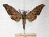  ( - BC-EMEM0609)  @13 [ ] Copyright (2010) Unspecified Research Collection of Ulf Eitschberger