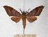  ( - BC-EMEM0613)  @14 [ ] Copyright (2010) Unspecified Research Collection of Ulf Eitschberger
