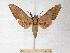  ( - BC-EMEM0643)  @13 [ ] Copyright (2010) Unspecified Research Collection of Ulf Eitschberger