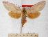  ( - BC-EMEM0815)  @13 [ ] Copyright (2010) Unspecified Research Collection of Ulf Eitschberger