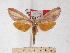  ( - BC-EMEM0817)  @14 [ ] Copyright (2010) Unspecified Research Collection of Ulf Eitschberger