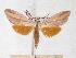  ( - BC-EMEM0821)  @14 [ ] Copyright (2010) Unspecified Research Collection of Ulf Eitschberger