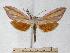  ( - BC-EMEM0841)  @14 [ ] Copyright (2010) Unspecified Research Collection of Ulf Eitschberger