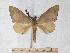  ( - BC-EMEM0843)  @14 [ ] Copyright (2010) Unspecified Research Collection of Ulf Eitschberger