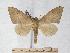  ( - BC-EMEM0845)  @14 [ ] Copyright (2010) Unspecified Research Collection of Ulf Eitschberger