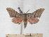  ( - BC-EMEM0848)  @13 [ ] Copyright (2010) Unspecified Research Collection of Ulf Eitschberger