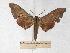  ( - BC-EMEM0861)  @13 [ ] Copyright (2010) Unspecified Research Collection of Ulf Eitschberger