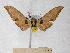  ( - BC-EMEM0862)  @13 [ ] Copyright (2010) Unspecified Research Collection of Ulf Eitschberger