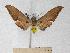  ( - BC-EMEM0865)  @13 [ ] Copyright (2010) Unspecified Research Collection of Ulf Eitschberger