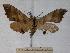  ( - BC-EMEM1005)  @13 [ ] Copyright (2010) Unspecified Research Collection of Ulf Eitschberger