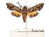  ( - BC-EMEM1049)  @13 [ ] Copyright (2010) Unspecified Research Collection of Ulf Eitschberger