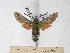  ( - BC-EMEM1094)  @13 [ ] Copyright (2010) Unspecified Research Collection of Ulf Eitschberger