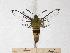  ( - BC-EMEM1144)  @14 [ ] Copyright (2010) Unspecified Research Collection of Ulf Eitschberger