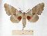  ( - BC-EMEM1192)  @14 [ ] Copyright (2010) Unspecified Research Collection of Ulf Eitschberger