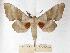  ( - BC-EMEM1193)  @14 [ ] Copyright (2010) Unspecified Research Collection of Ulf Eitschberger