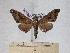  ( - BC-EMEM1224)  @13 [ ] Copyright (2010) Unspecified Research Collection of Ulf Eitschberger